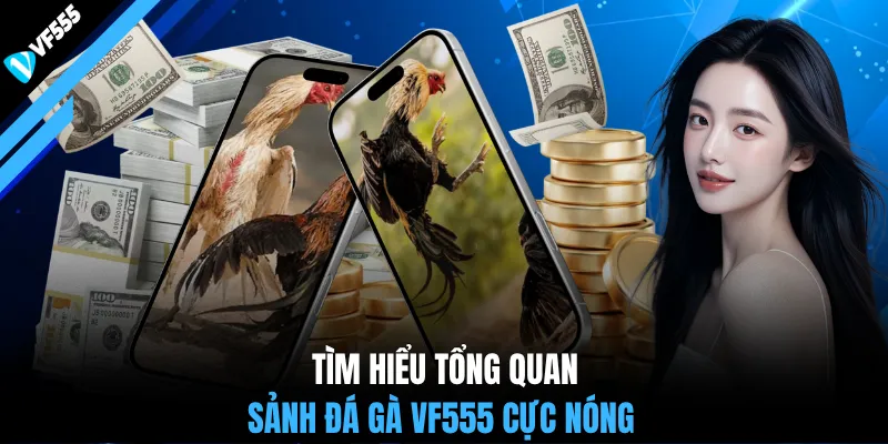 Tìm hiểu tổng quan sảnh đá gà VF555 cực nóng