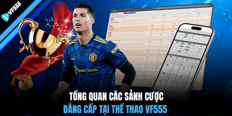 Tổng quan các sảnh cược đẳng cấp tại thể thao VF555